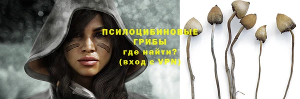 Альфа ПВП Белая Холуница