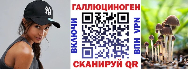 цена наркотик  Ивантеевка  mega ONION  Псилоцибиновые грибы мицелий 